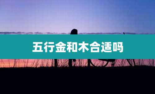 五行金和木合适吗