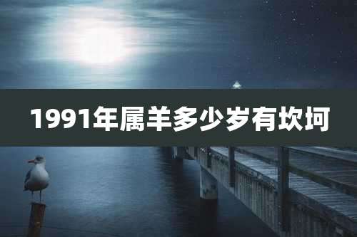 1991年属羊多少岁有坎坷