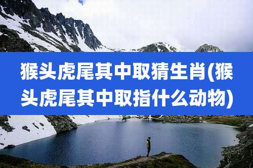 猴头虎尾其中取猜生肖(猴头虎尾其中取指什么动物)