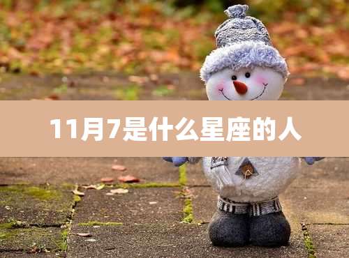 11月7是什么星座的人