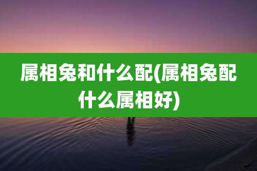属相兔和什么配(属相兔配什么属相好)