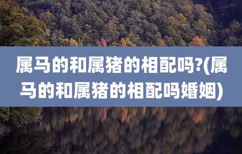 属马的和属猪的相配吗?(属马的和属猪的相配吗婚姻)