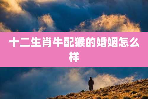 十二生肖牛配猴的婚姻怎么样