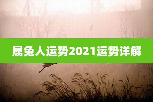 属兔人运势2021运势详解