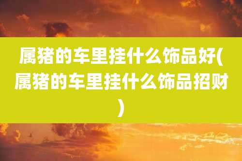属猪的车里挂什么饰品好(属猪的车里挂什么饰品招财)