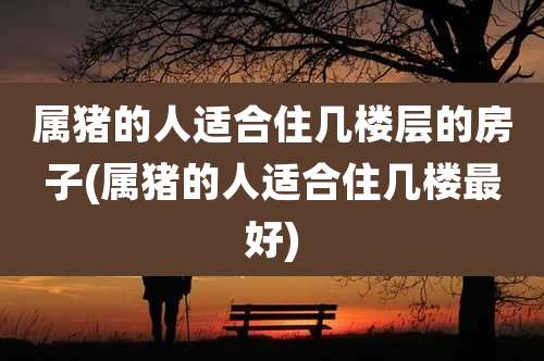 属猪的人适合住几楼层的房子(属猪的人适合住几楼最好)