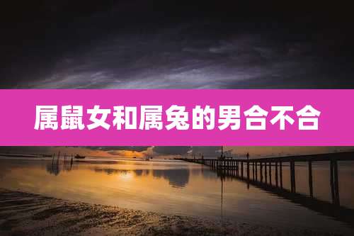 属鼠女和属兔的男合不合