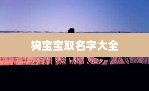 狗宝宝取名字大全