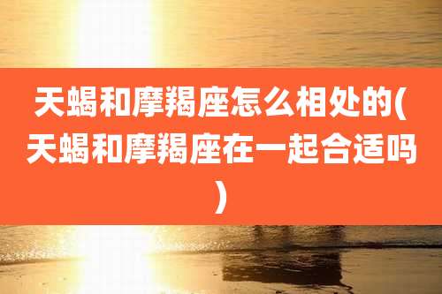 天蝎和摩羯座怎么相处的(天蝎和摩羯座在一起合适吗)