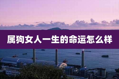 属狗女人一生的命运怎么样