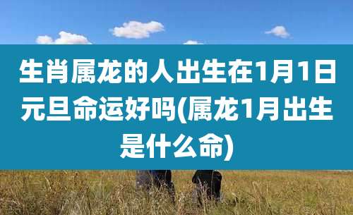 生肖属龙的人出生在1月1日元旦命运好吗(属龙1月出生是什么命)