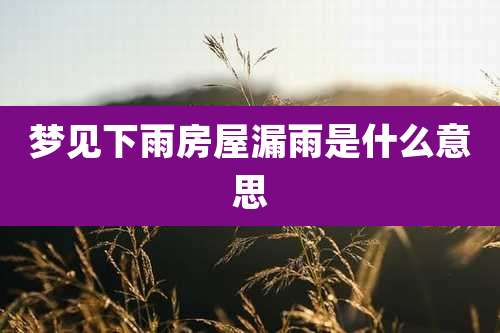 梦见下雨房屋漏雨是什么意思