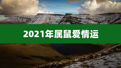 2021年属鼠爱情运