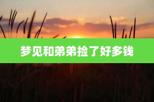 梦见和弟弟捡了好多钱