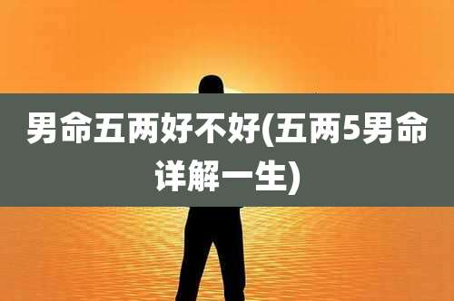 男命五两好不好(五两5男命详解一生)