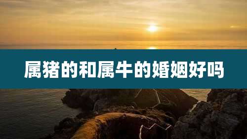 属猪的和属牛的婚姻好吗