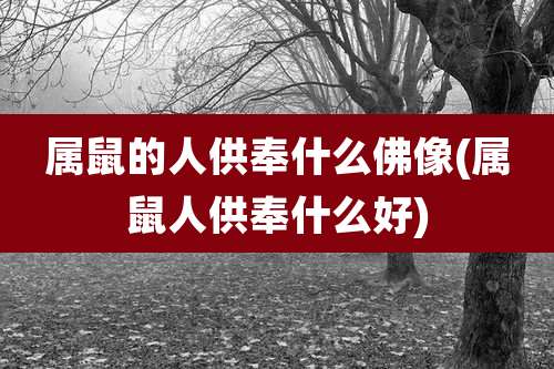 属鼠的人供奉什么佛像(属鼠人供奉什么好)