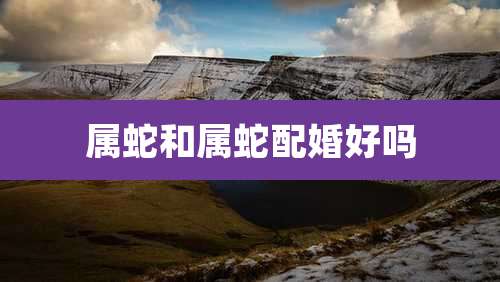 属蛇和属蛇配婚好吗