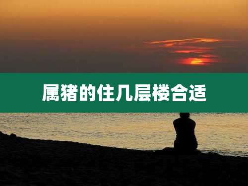 属猪的住几层楼合适