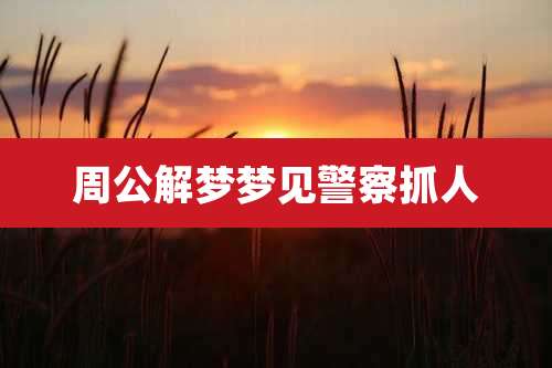 周公解梦梦见警察抓人