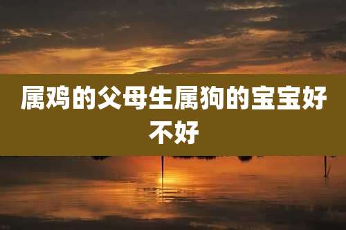 属鸡的父母生属狗的宝宝好不好