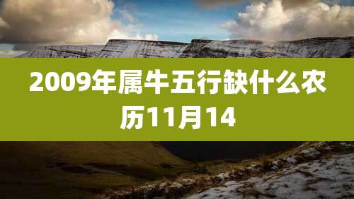 2009年属牛五行缺什么农历11月14