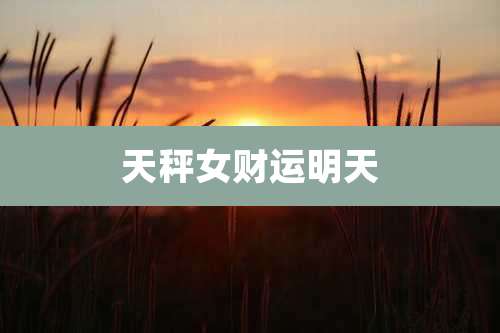 天秤女财运明天