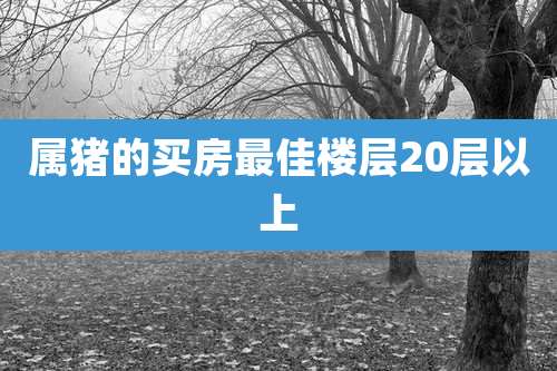 属猪的买房最佳楼层20层以上