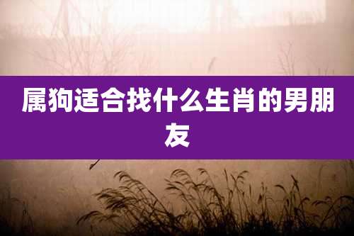 属狗适合找什么生肖的男朋友