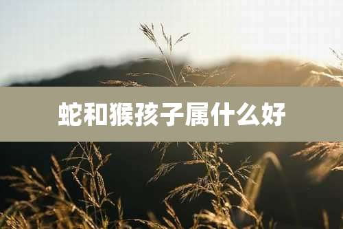 蛇和猴孩子属什么好