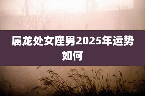 属龙处女座男2025年运势如何