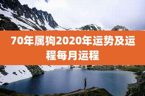 70年属狗2020年运势及运程每月运程