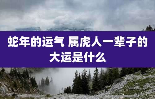 蛇年的运气 属虎人一辈子的大运是什么