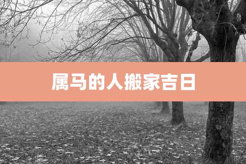 属马的人搬家吉日