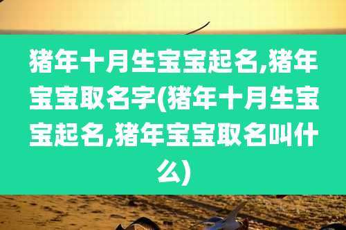 猪年十月生宝宝起名,猪年宝宝取名字(猪年十月生宝宝起名,猪年宝宝取名叫什么)