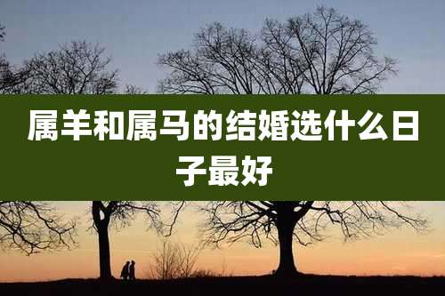 属羊和属马的结婚选什么日子最好