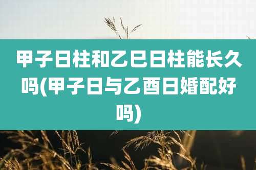 甲子日柱和乙巳日柱能长久吗(甲子日与乙酉日婚配好吗)