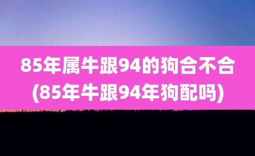 85年属牛跟94的狗合不合(85年牛跟94年狗配吗)