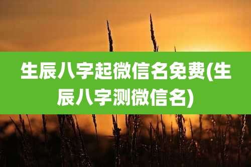 生辰八字起微信名免费(生辰八字测微信名)
