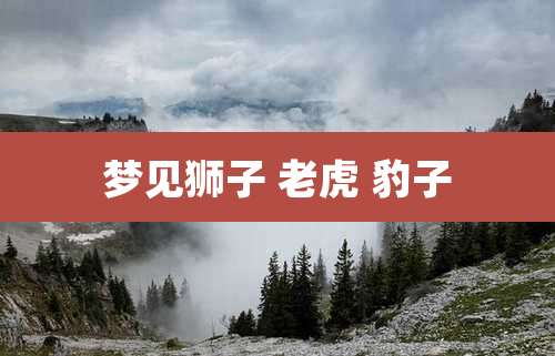 梦见狮子 老虎 豹子