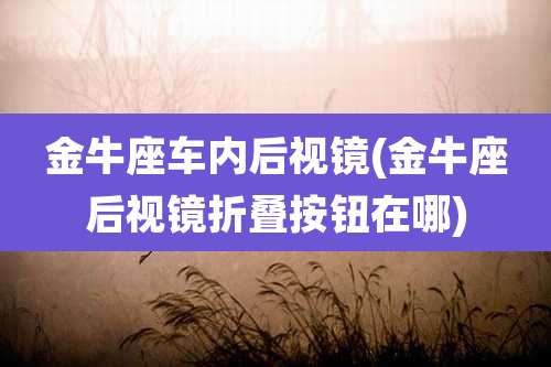金牛座车内后视镜(金牛座后视镜折叠按钮在哪)
