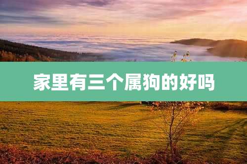 家里有三个属狗的好吗