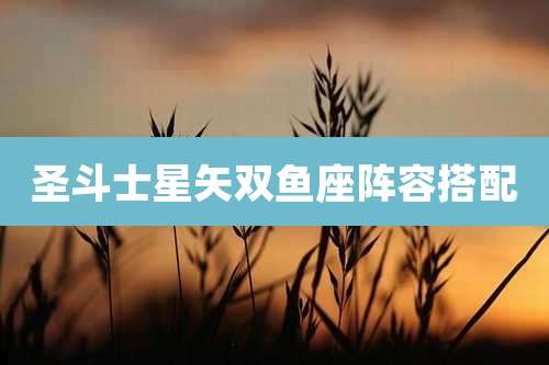 圣斗士星矢双鱼座阵容搭配