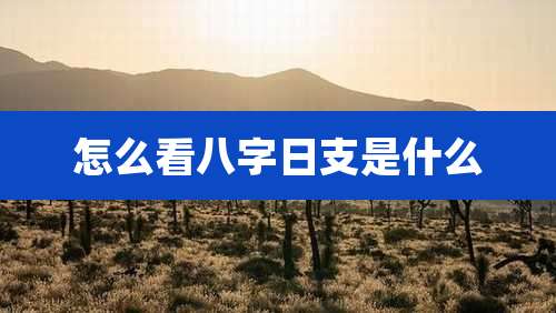 怎么看八字日支是什么