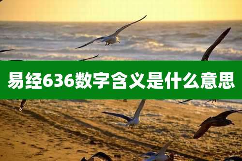 易经636数字含义是什么意思
