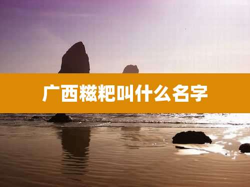 广西糍粑叫什么名字