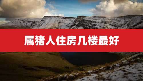 属猪人住房几楼最好