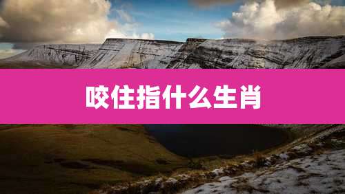 咬住指什么生肖