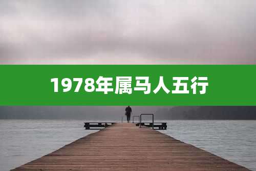 1978年属马人五行