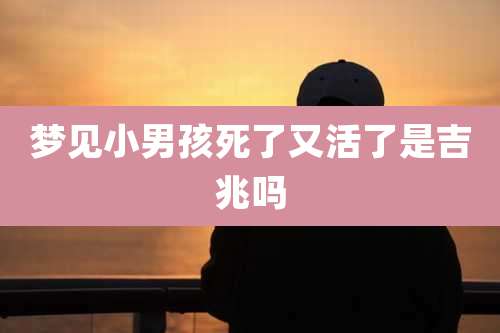 梦见小男孩死了又活了是吉兆吗